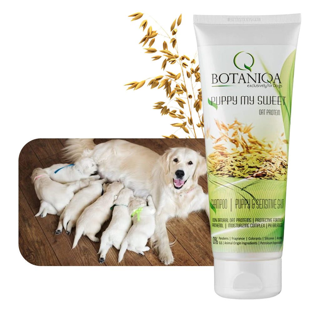 BOTANIQA SZAMPON PUPPY MY SWEET PROTEINY 250ML